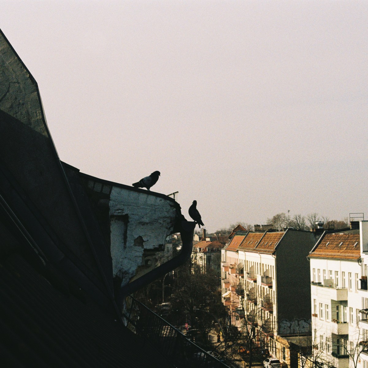 BIRDS-EYE VIEW