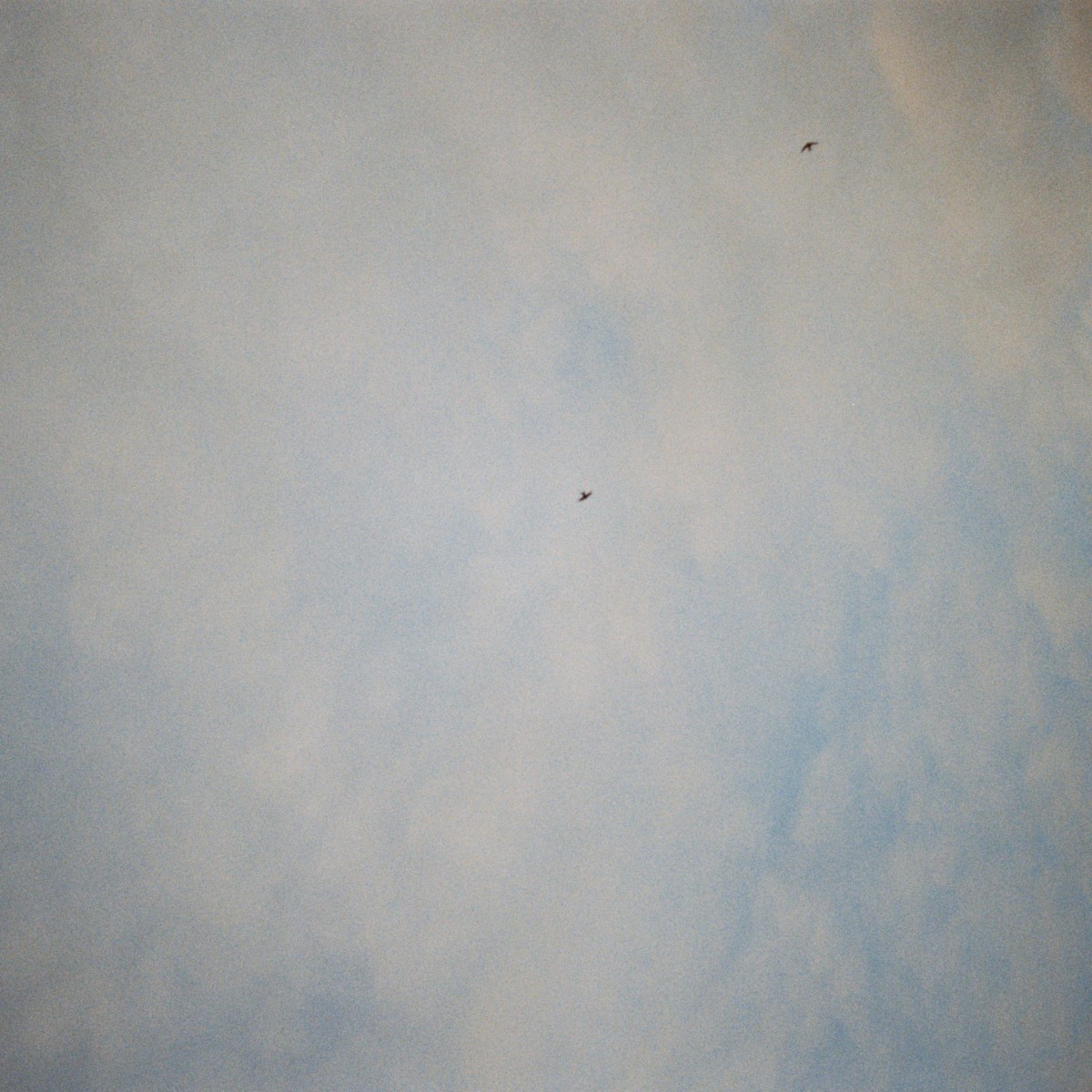 WOLKEN
