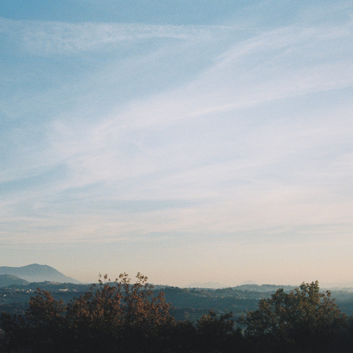 DREAM